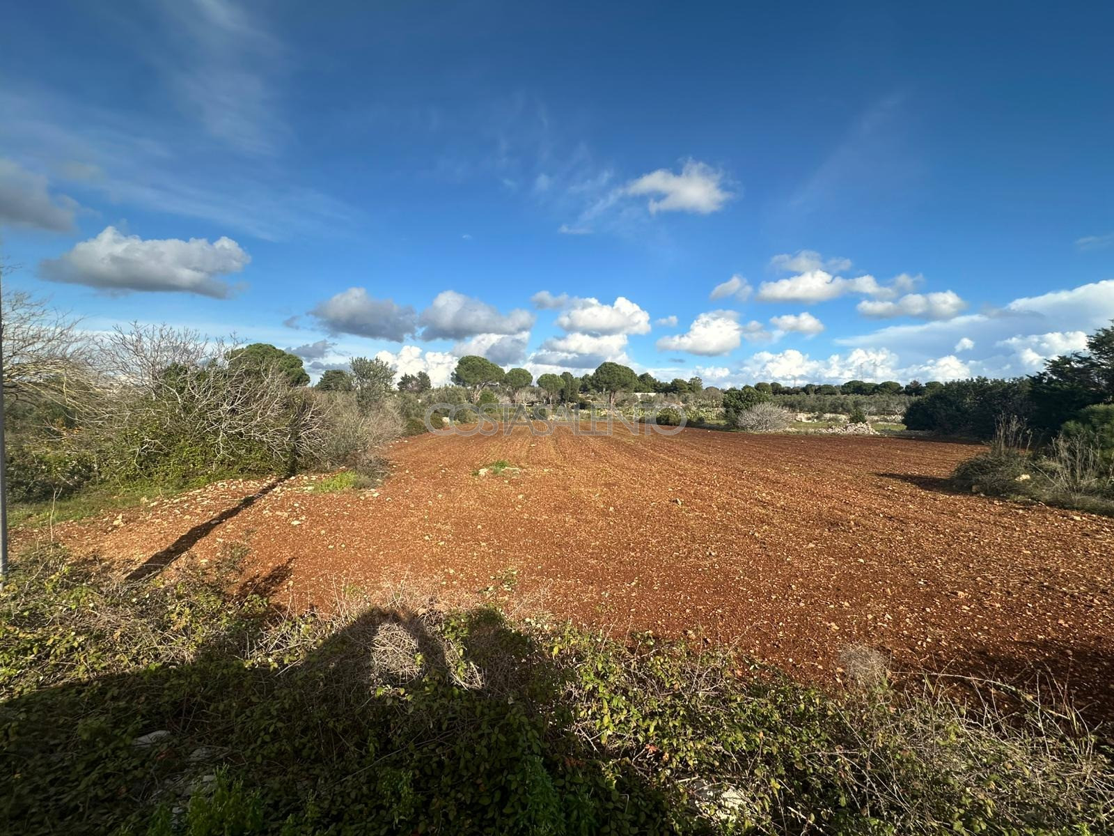 Terreno con Progetto