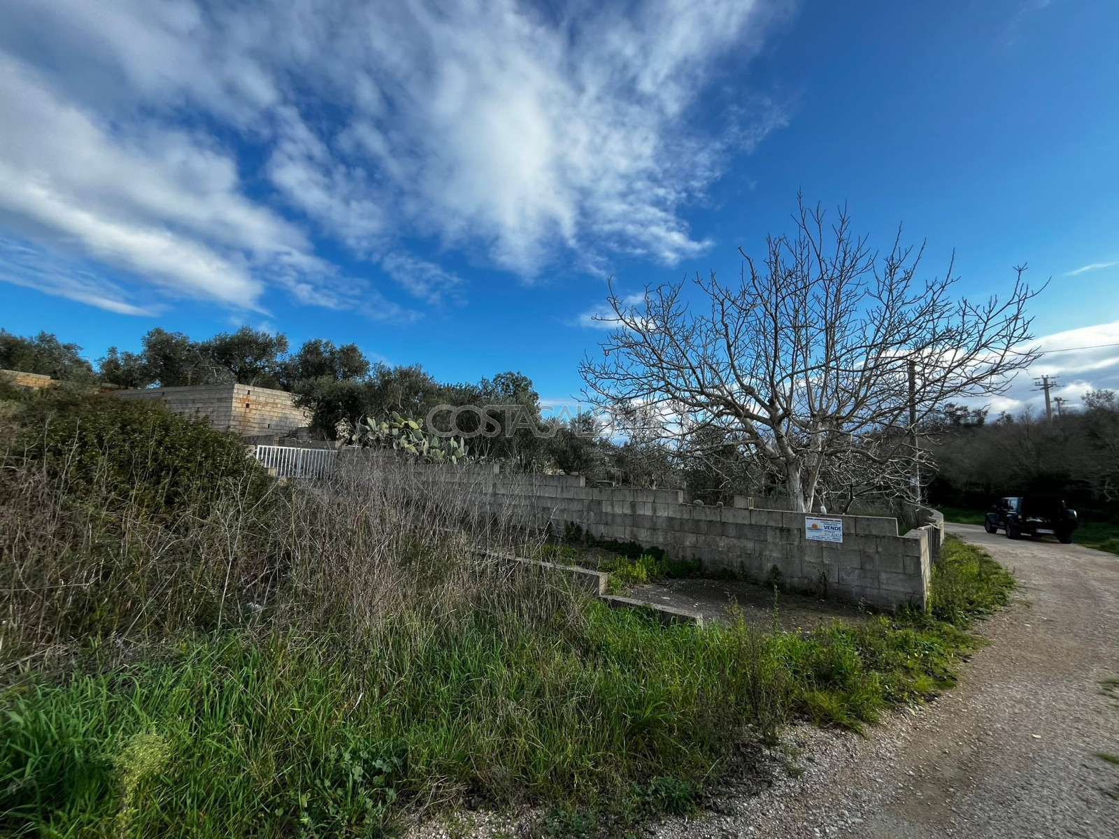 Terreno Tarantini