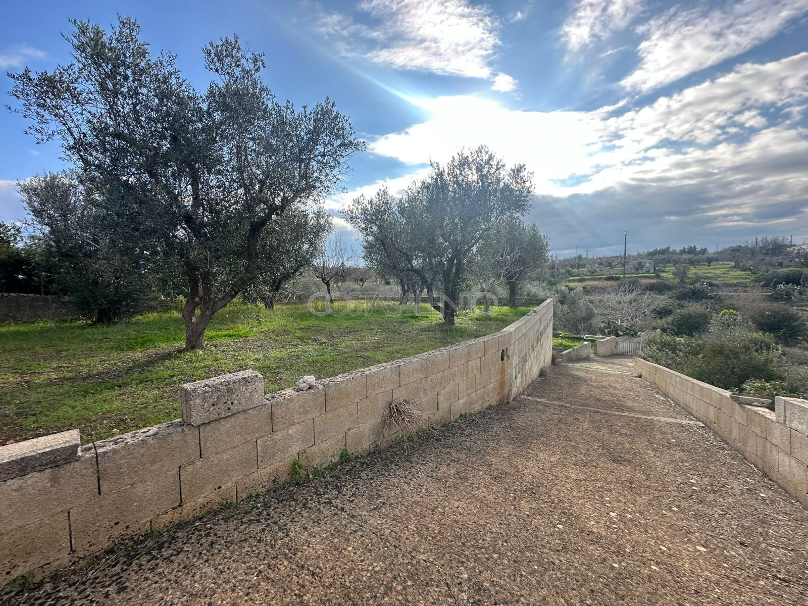 Terreno Tarantini